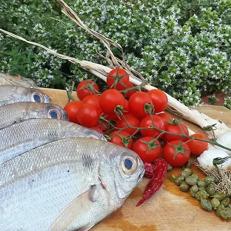 Nocleg ze śniadaniem Gabry *