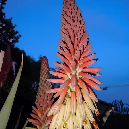 Nocleg ze śniadaniem Gabry Ospedaletti