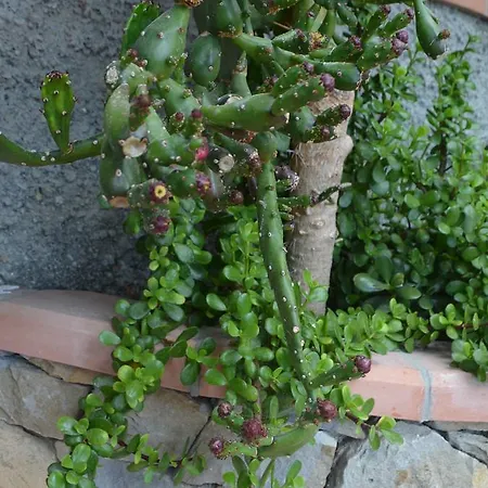 Nocleg ze śniadaniem Gabry