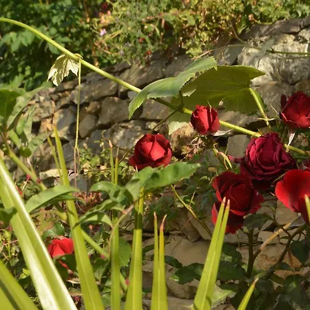 Nocleg ze śniadaniem Gabry