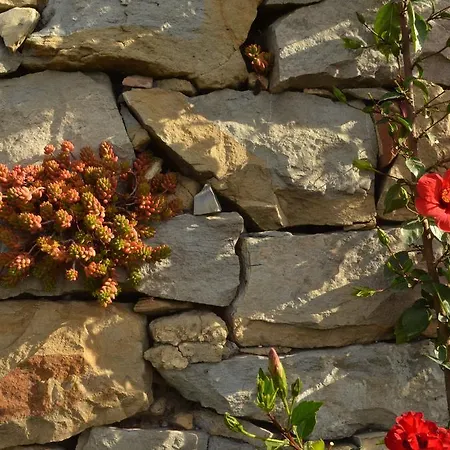 Nocleg ze śniadaniem Gabry *