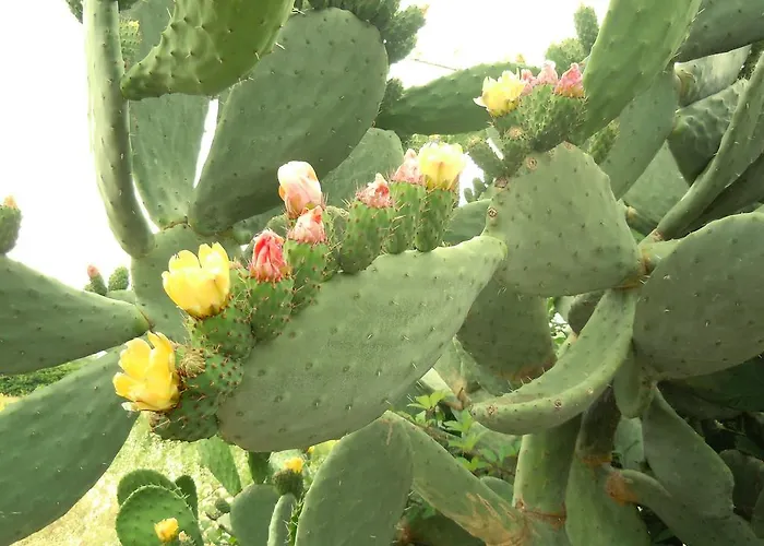 Bed and breakfast Gabry *