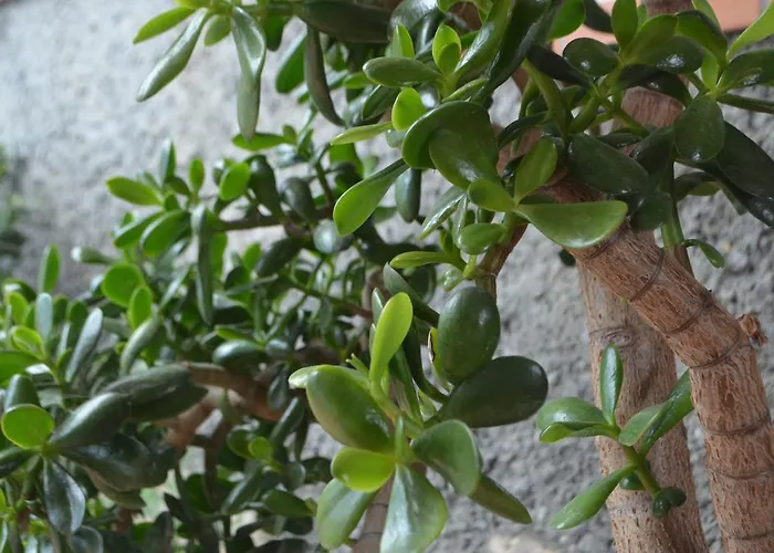 Bed and breakfast Gabry