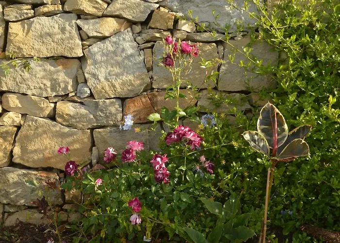 Bed and breakfast Gabry Ospedaletti