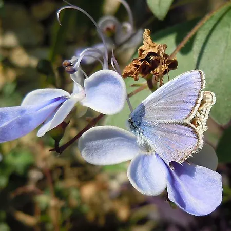 住宿加早餐酒店 Gabry *