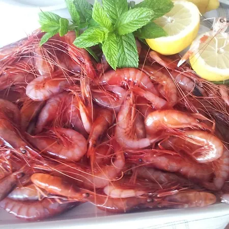 Gabry * 欧斯佩达蒂