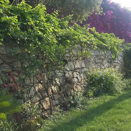 Gabry Bed & Breakfast