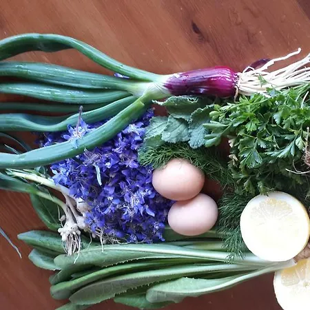 Gabry 住宿加早餐酒店 *