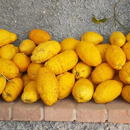 Gabry * 오스페달레티