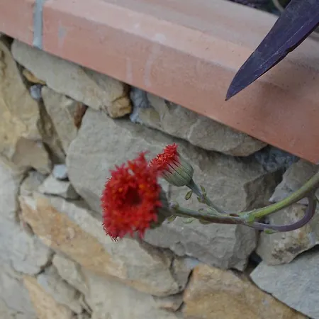 Gabry Оспедалетти