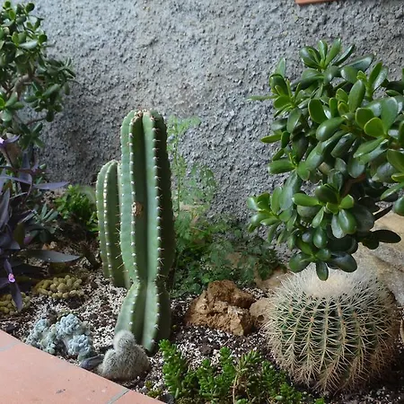 Gabry 欧斯佩达蒂