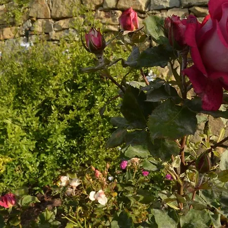 Gabry 欧斯佩达蒂