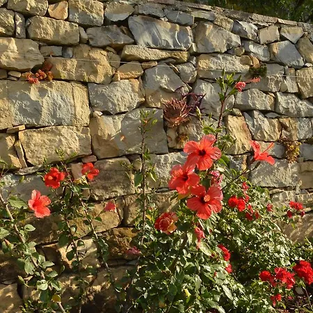 住宿加早餐酒店 Gabry