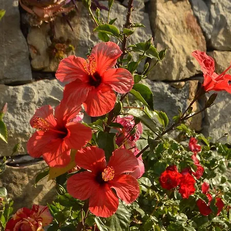 住宿加早餐酒店 Gabry *