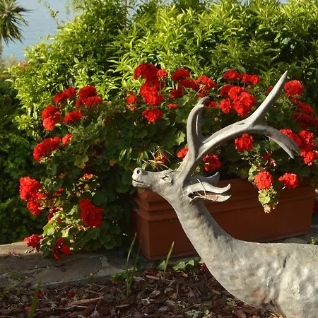 Gabry 欧斯佩达蒂