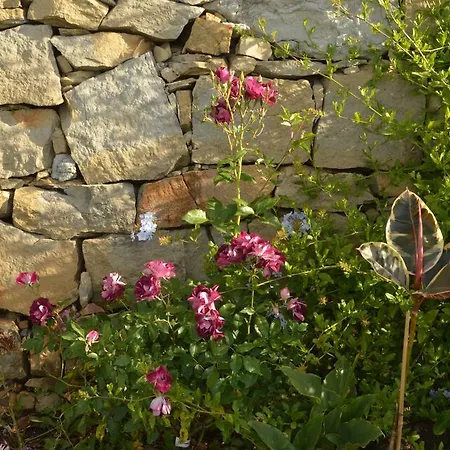 Bed & Breakfast Gabry Ospedaletti