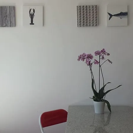 Gabry Bed & Breakfast Ospedaletti