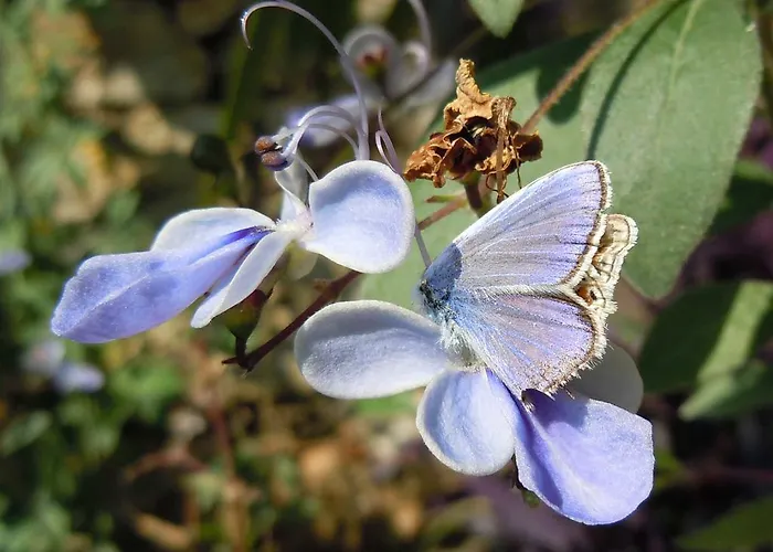 Bed & Breakfast Gabry *