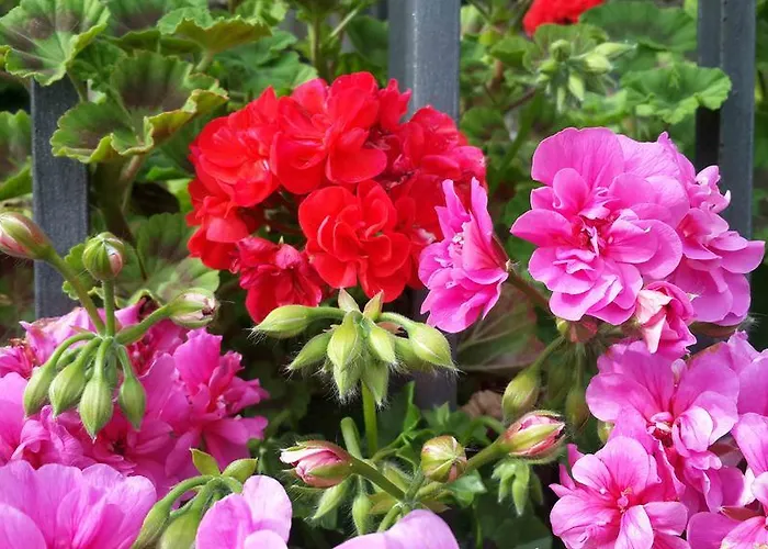 Bed & Breakfast Gabry *