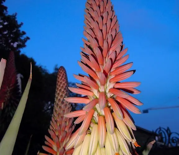 Bed & Breakfast Gabry Ospedaletti