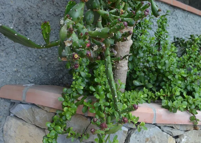 Bed & Breakfast Gabry