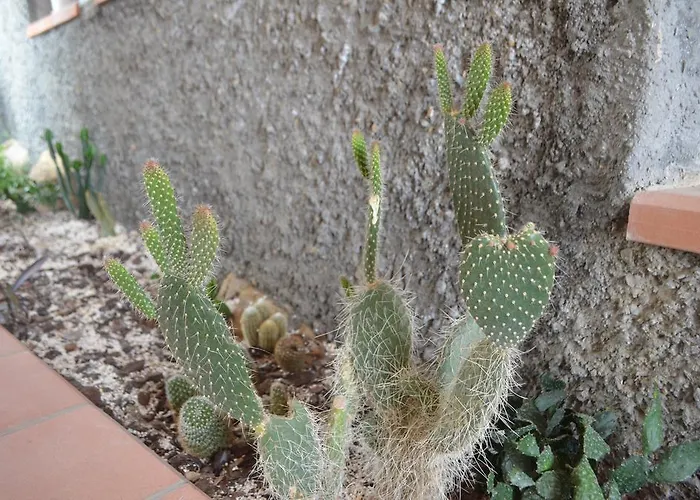 Bed & Breakfast Gabry *