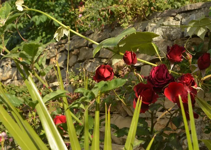 Bed & Breakfast Gabry