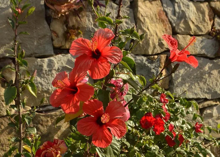 Bed & Breakfast Gabry *