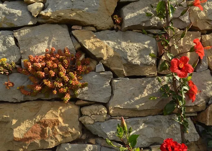 Bed & Breakfast Gabry *